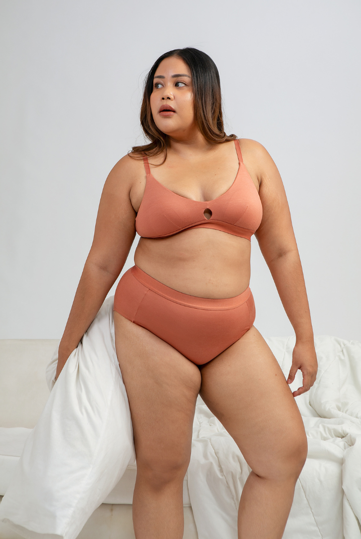 Tara High Waist Brief Panty in Rosewood