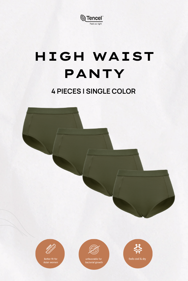 Tara High Waist Brief Panty 4 Packs in Dark Olive